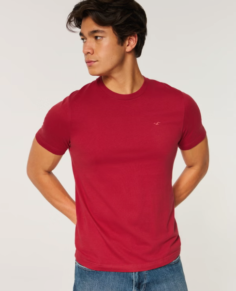 Paquete de 5 camisetas 100% algodón - HOᏞᏞISTER