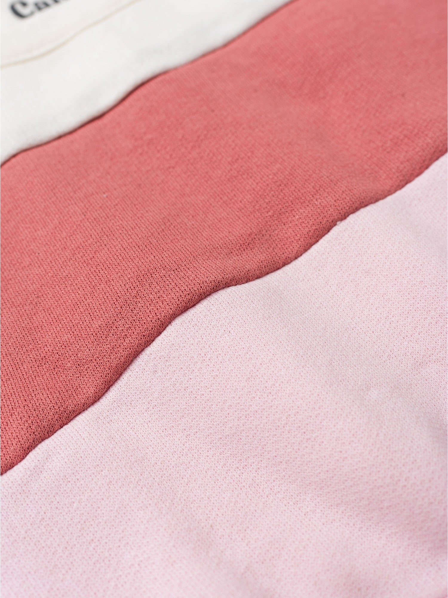 Conjunto Infantil Menina Moletom Peluciado Recortes Blush