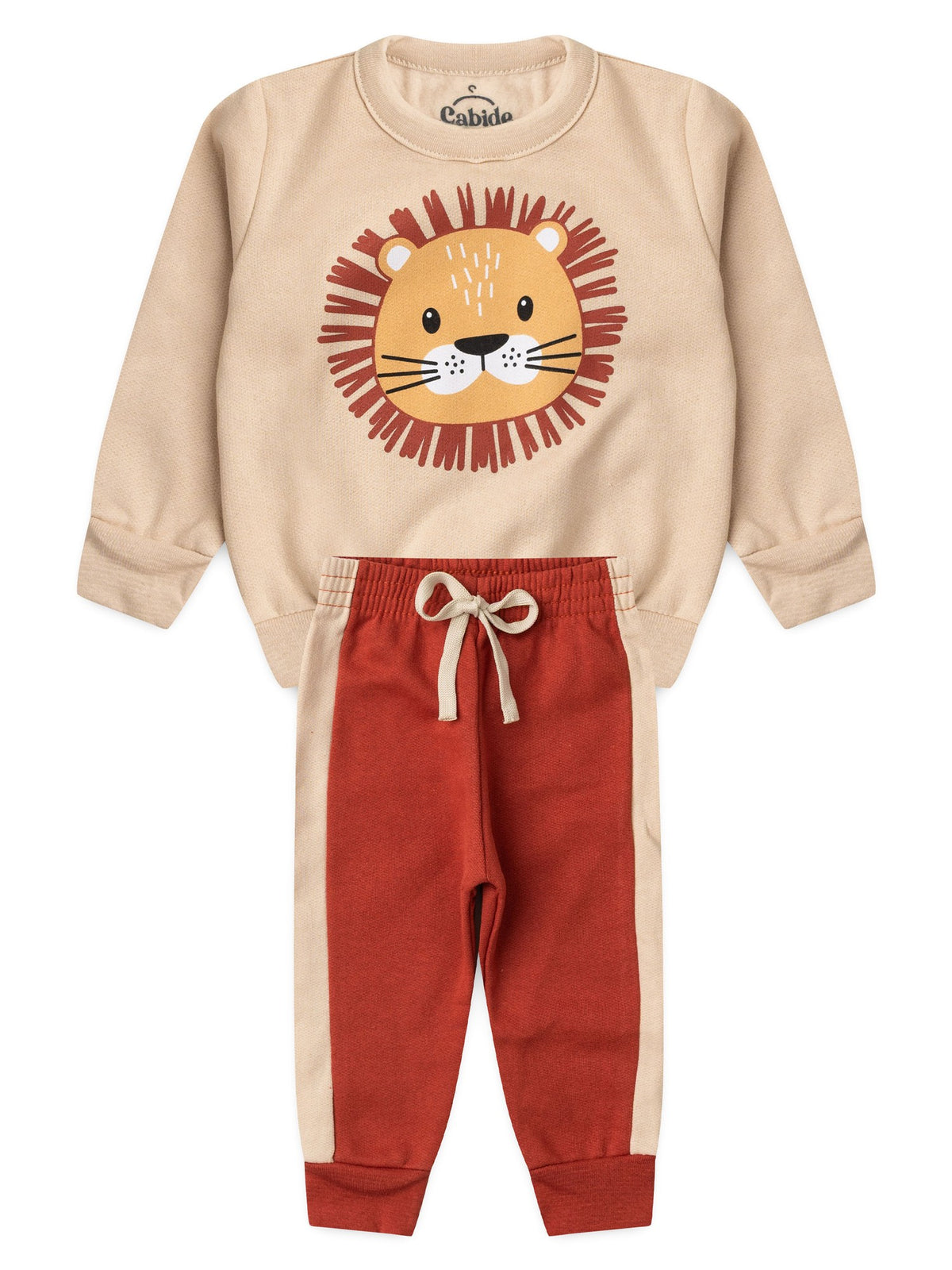 Conjunto Infantil Menino Moletom Peluciado Leãozinho Feliz