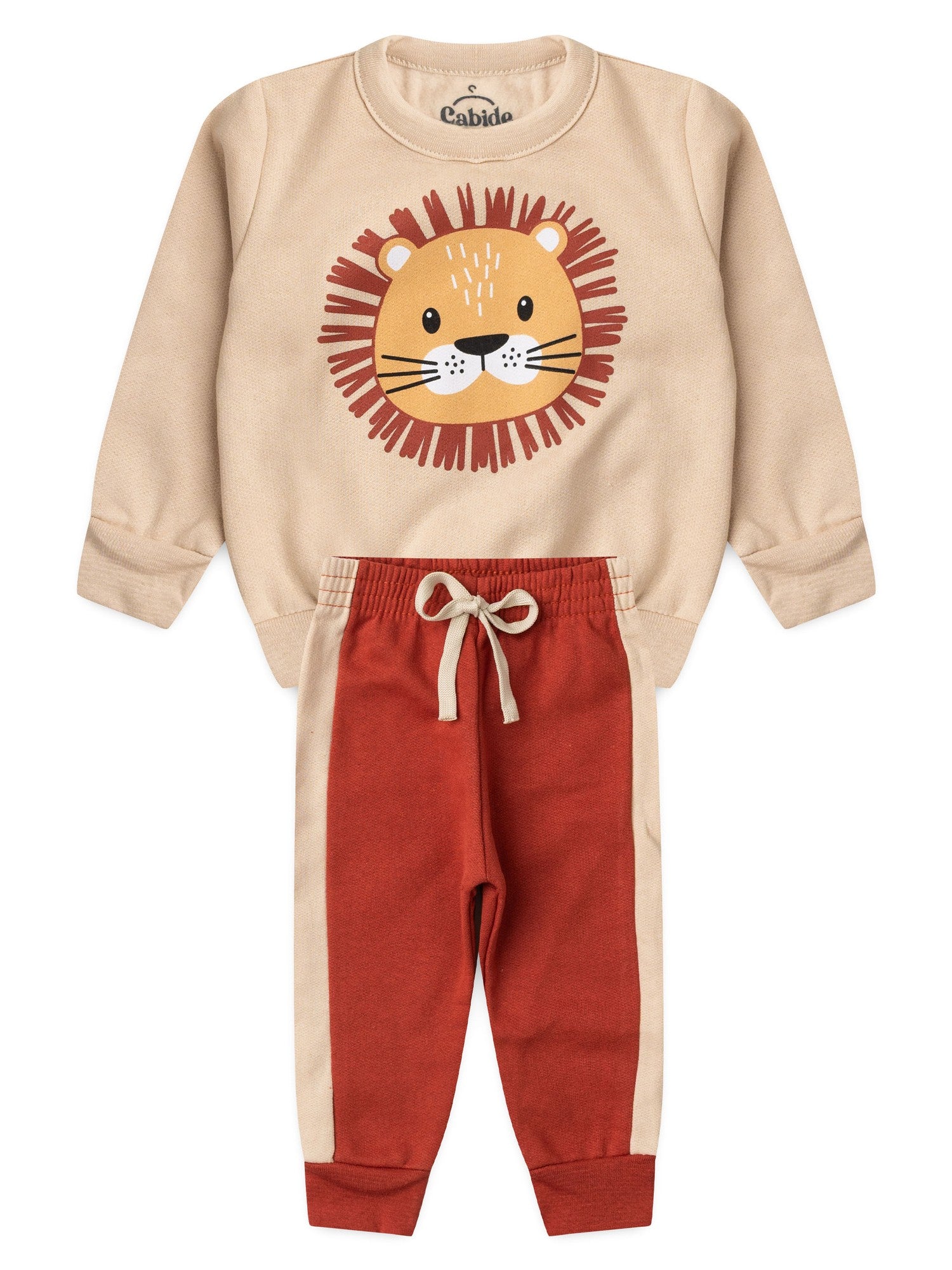 Conjunto Infantil Menino Moletom Peluciado Leãozinho Feliz