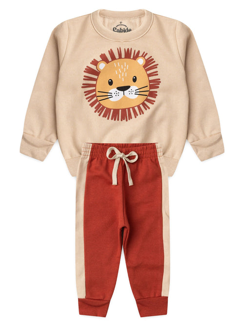Conjunto Infantil Menino Moletom Peluciado Leãozinho Feliz
