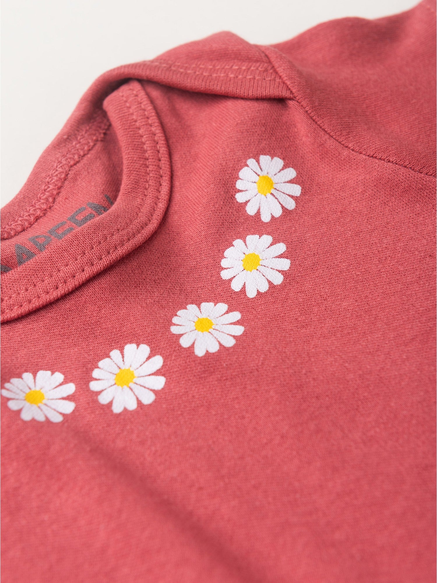 Kit Body Bebê Menina Suedine Joaninhas e Flores